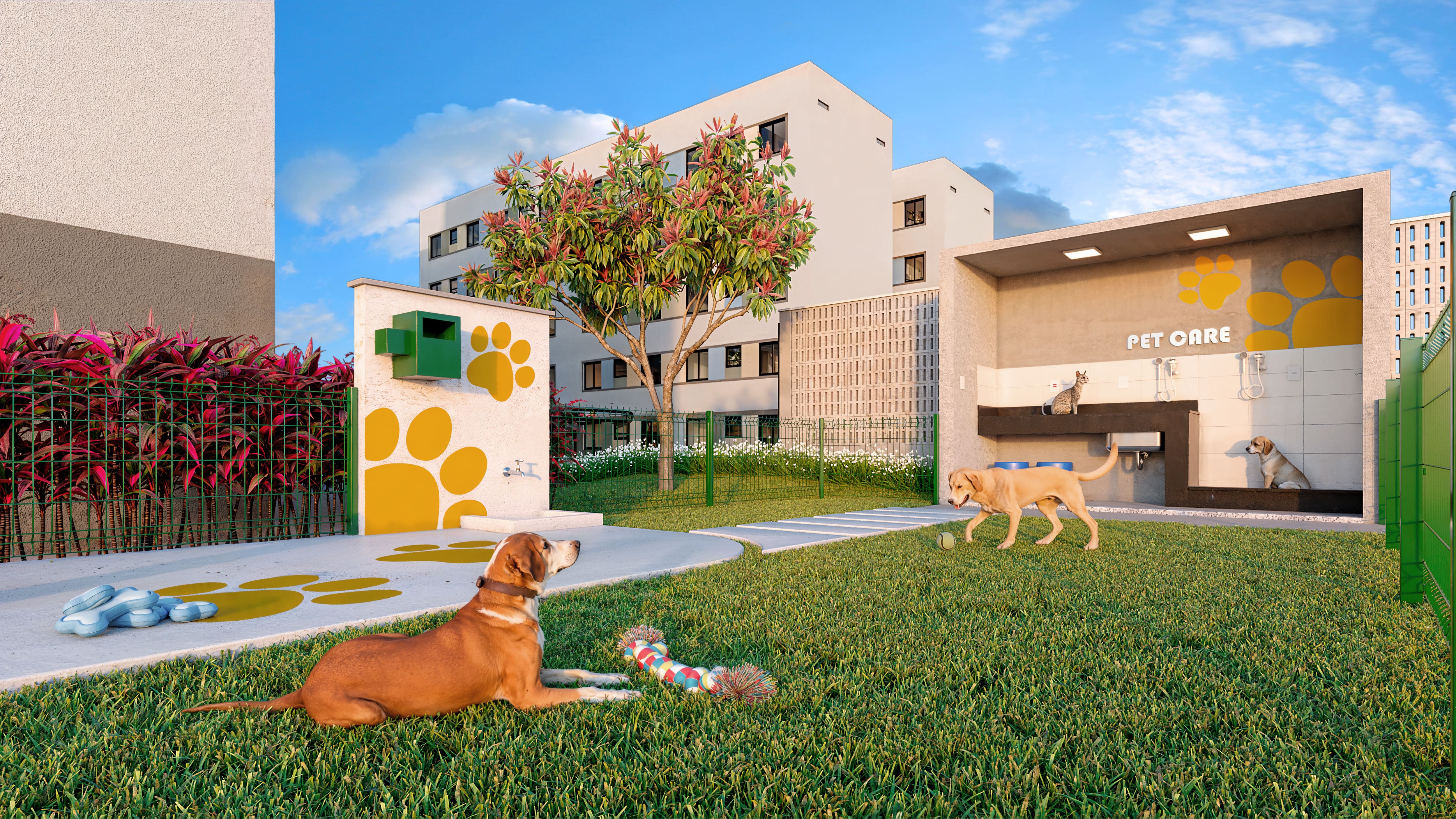 Galeria - Vista Dourada 7